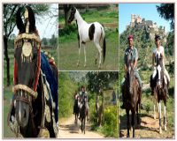 Horse Safari In Kusadsi -5